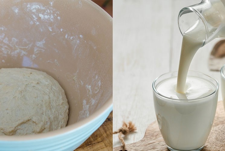 Slow cook. Ferment. Prove dough.